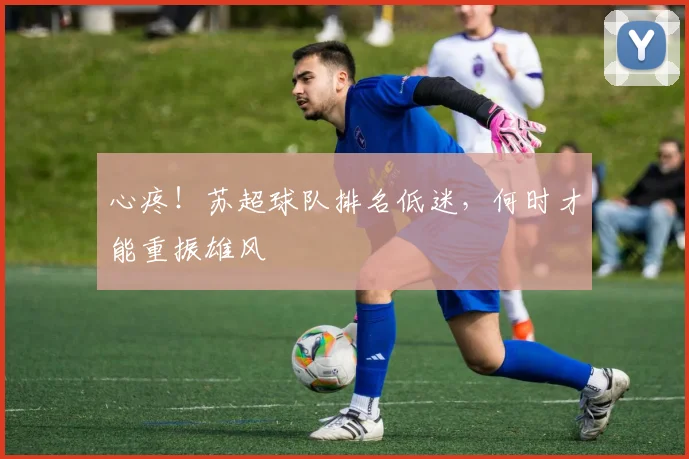 心疼！苏超球队排名低迷，何时才能重振雄风