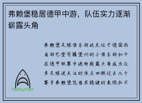 弗赖堡稳居德甲中游，队伍实力逐渐崭露头角